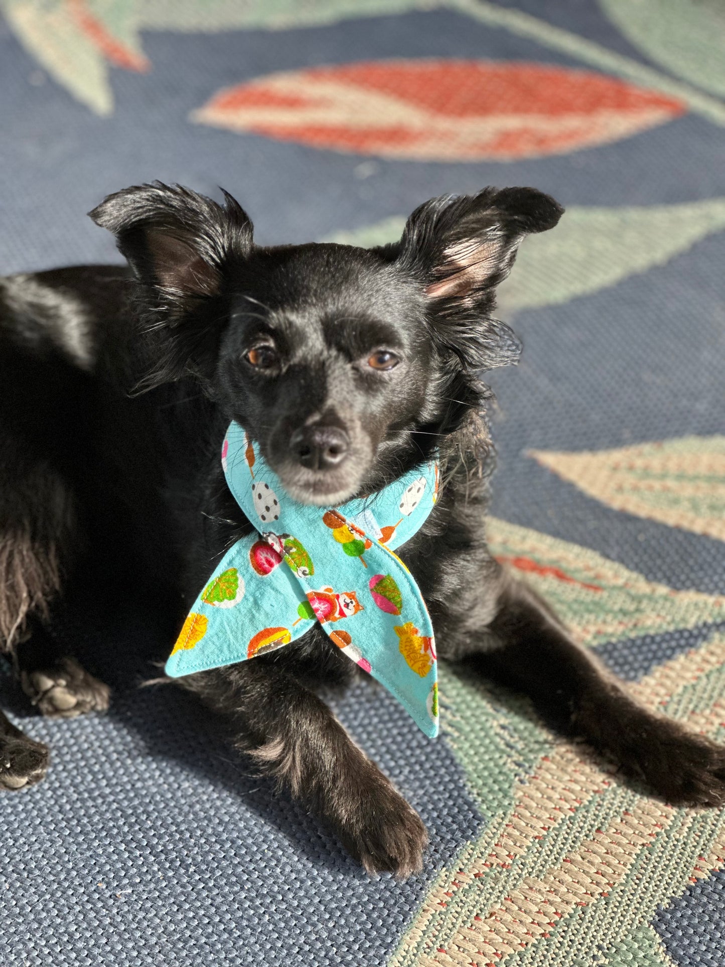 Teal Shiba Snacks Pet Bandana