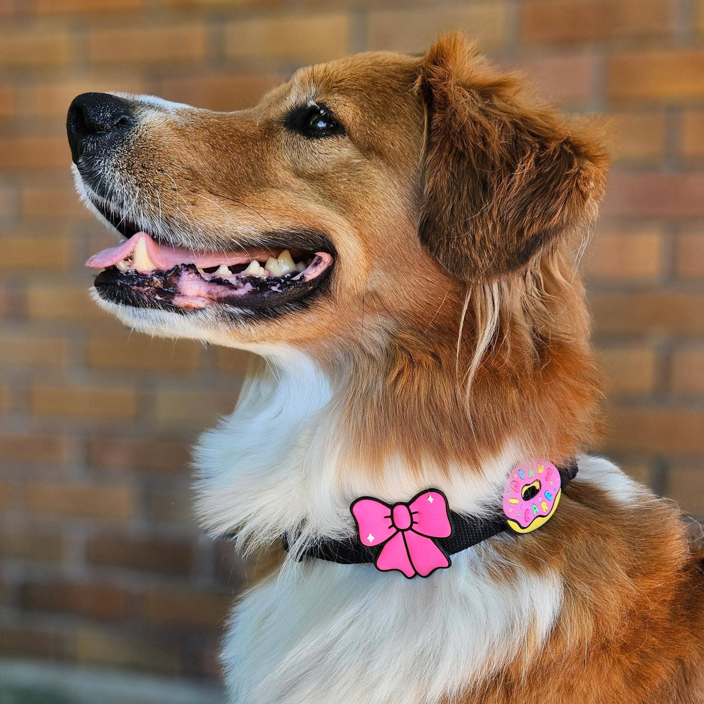 Ribbon Red Jiby Dog Charm: Red