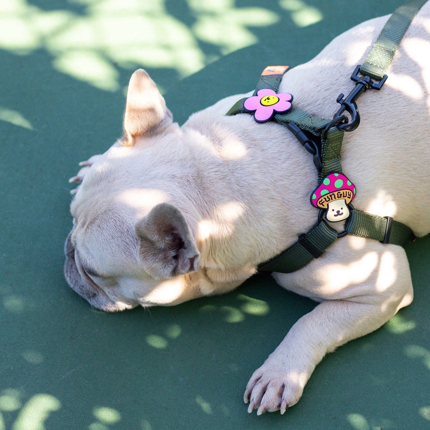 Daisy Blue Jiby Dog Charm: Blue