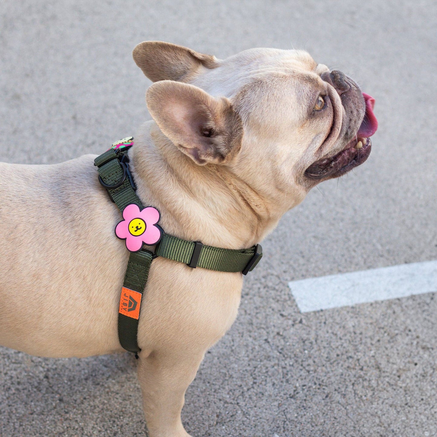 Daisy Blue Jiby Dog Charm: Blue