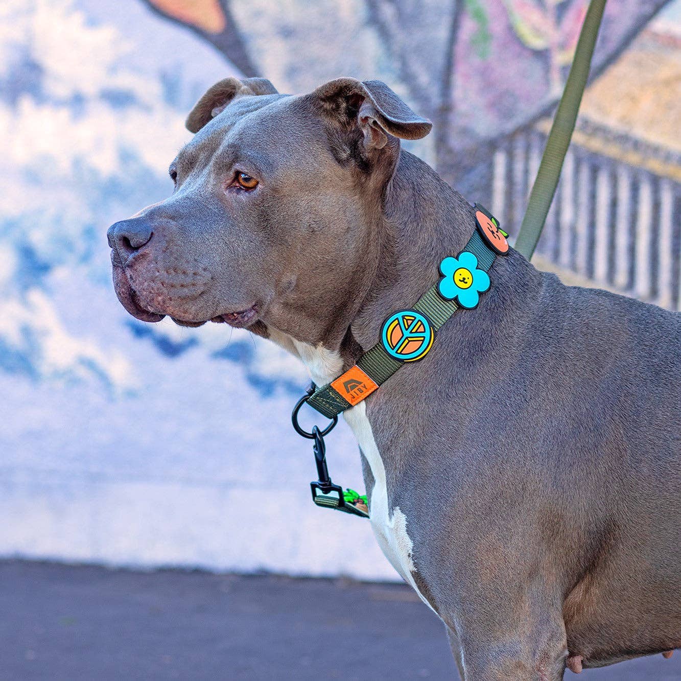 Daisy Blue Jiby Dog Charm: Blue
