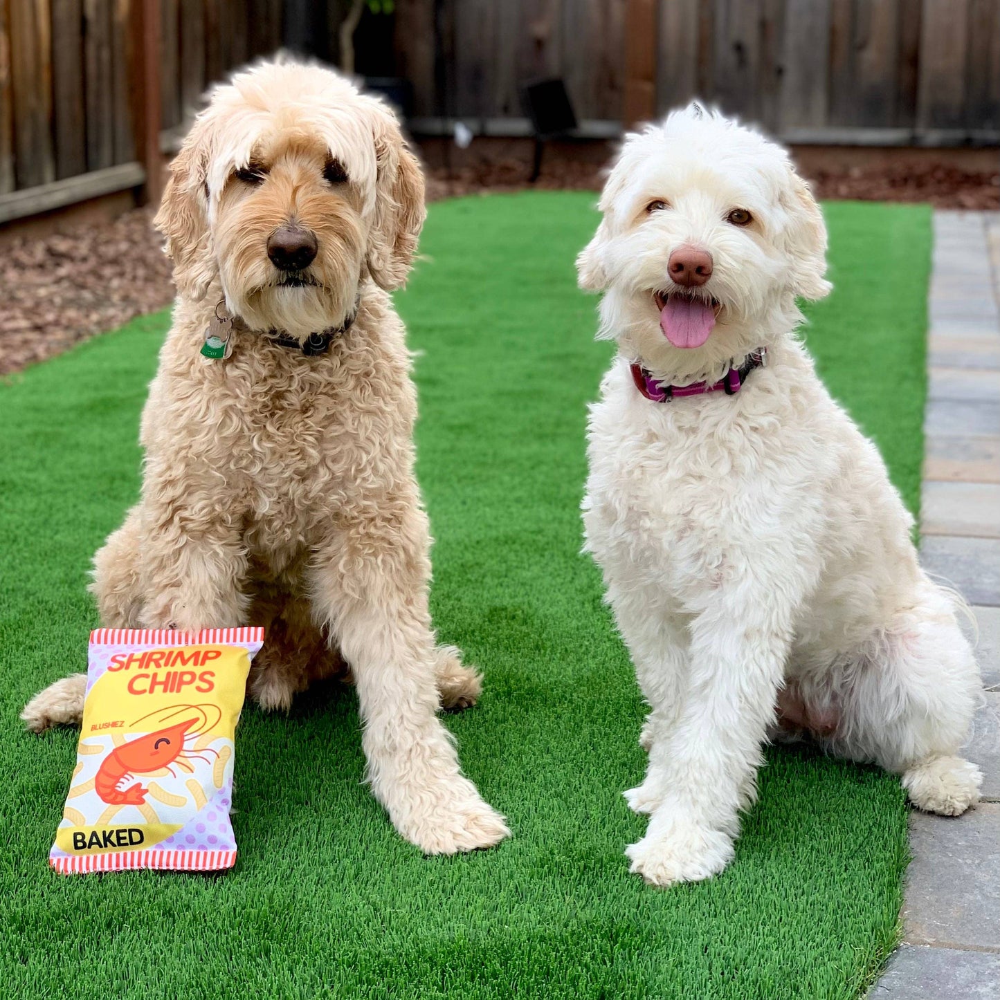 Shrimp Chips Dog Toy