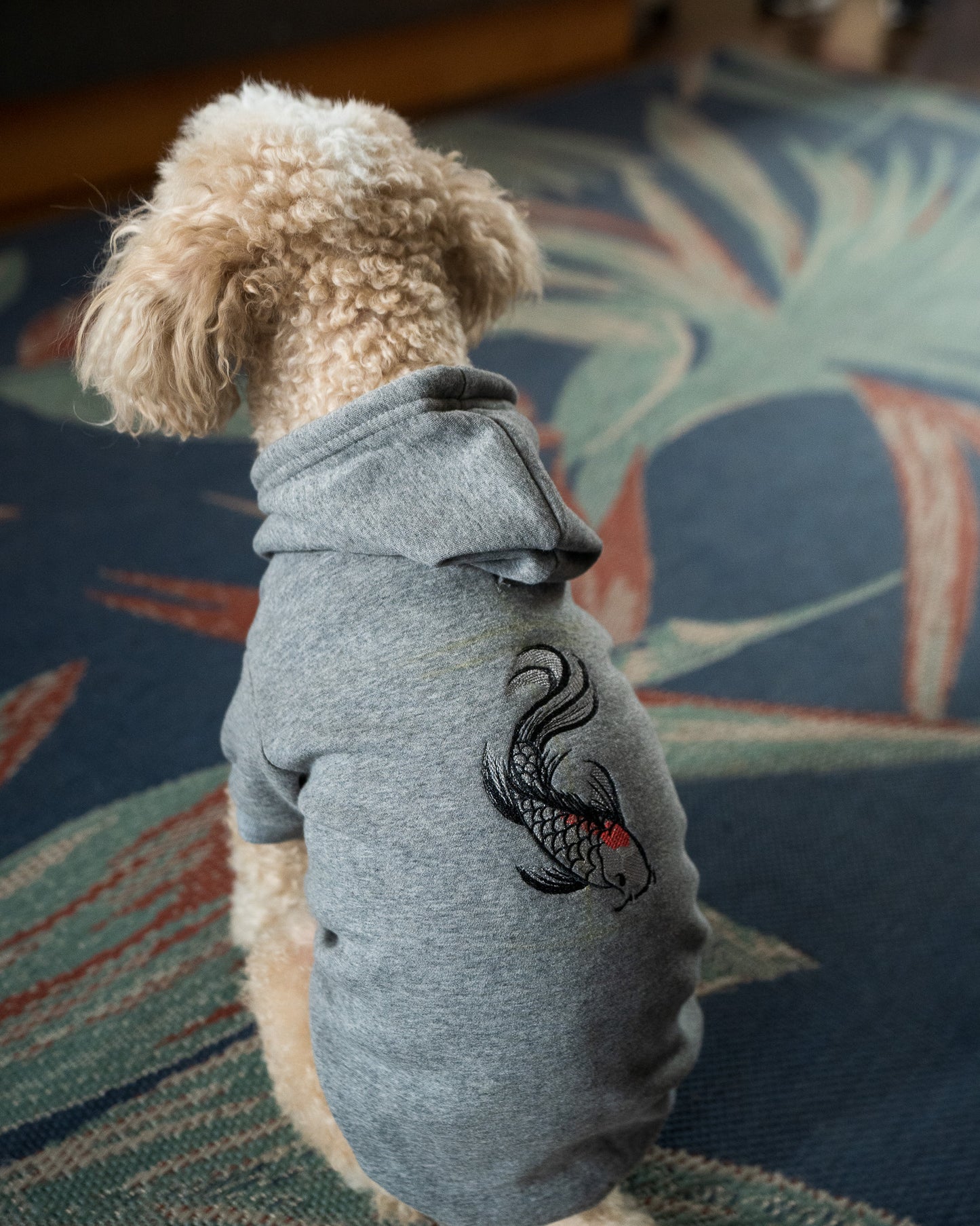 Koi Fish Dog Hoodie - Grey