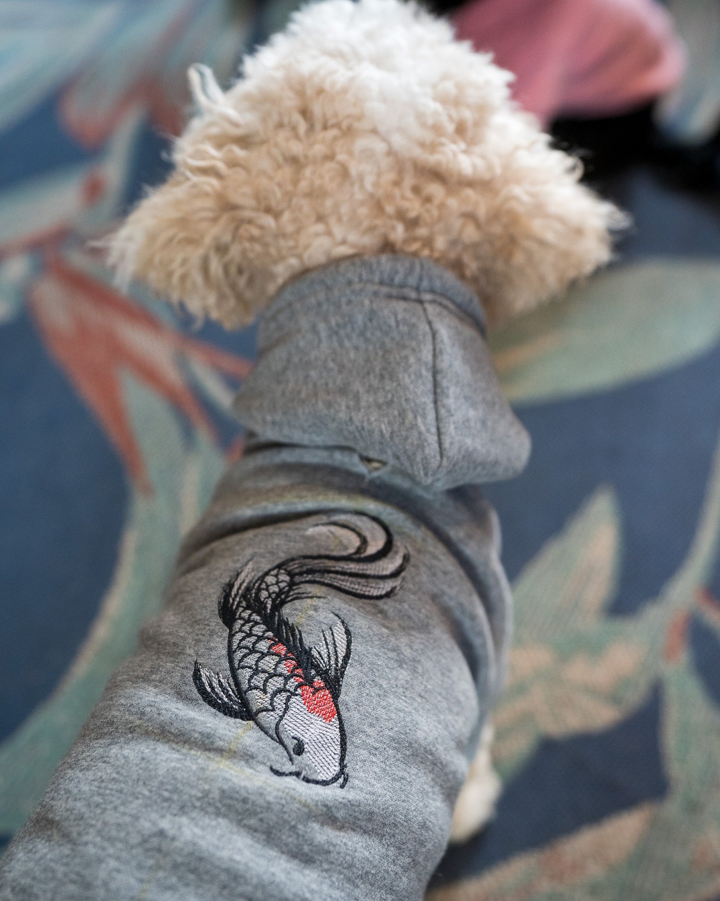 Koi Fish Dog Hoodie - Grey