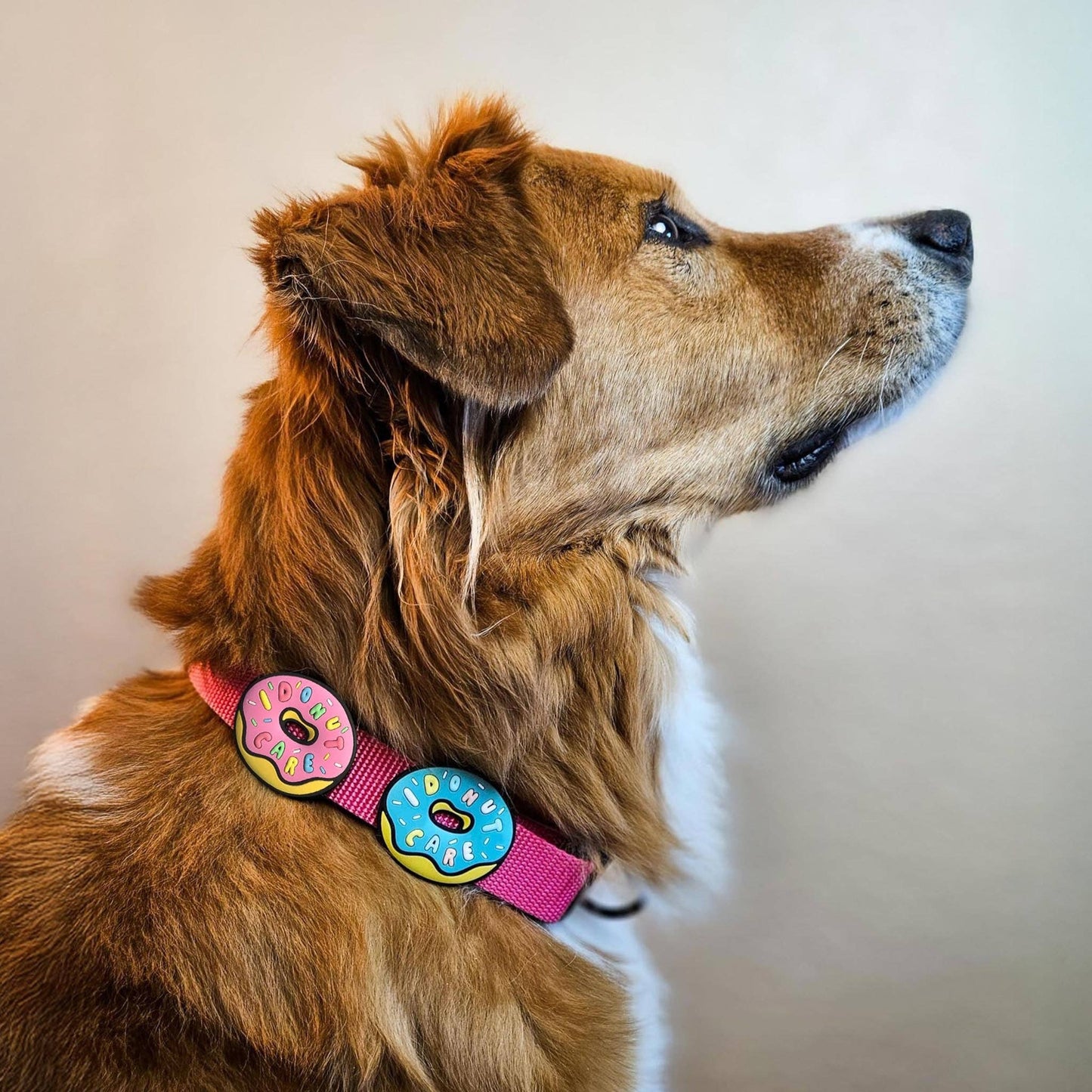 I Donut Care Pink Jiby Dog Charm: Pink