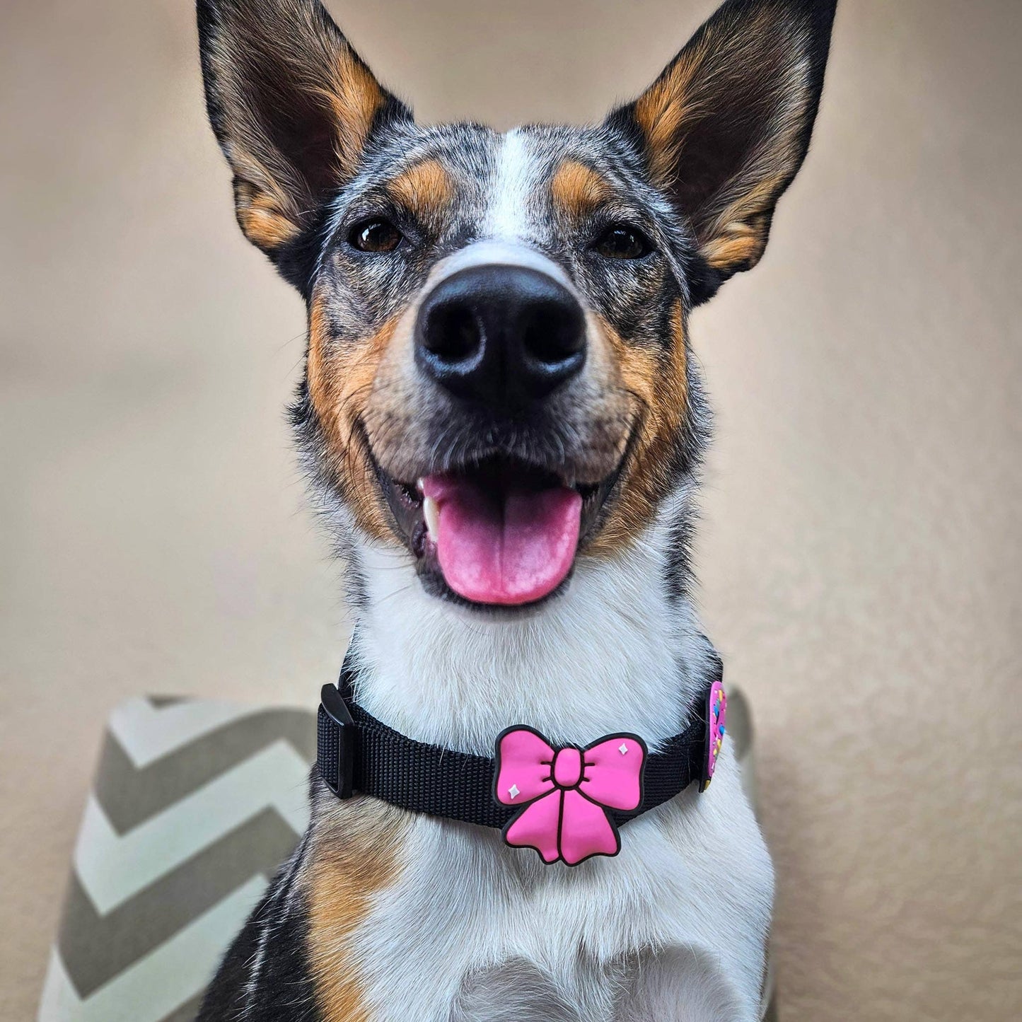 Ribbon Red Jiby Dog Charm: Red