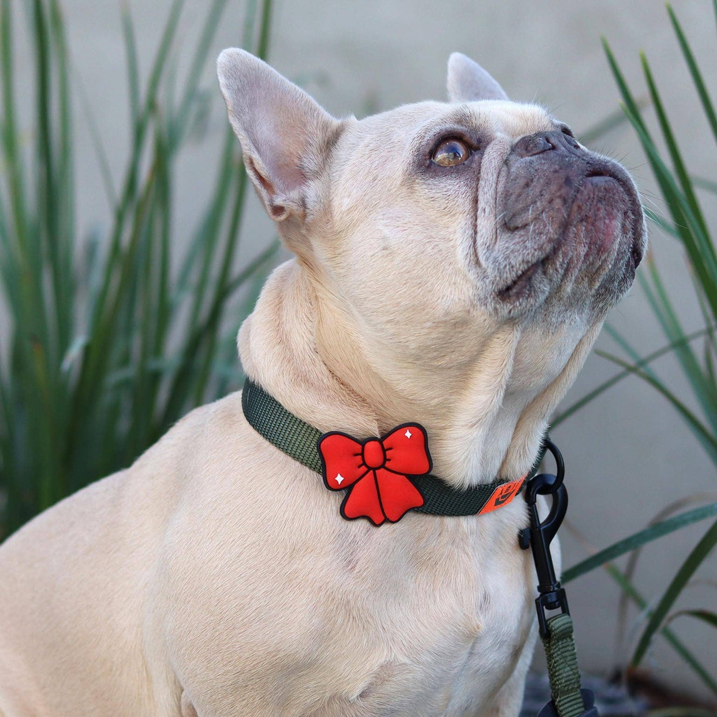 Ribbon Red Jiby Dog Charm: Red