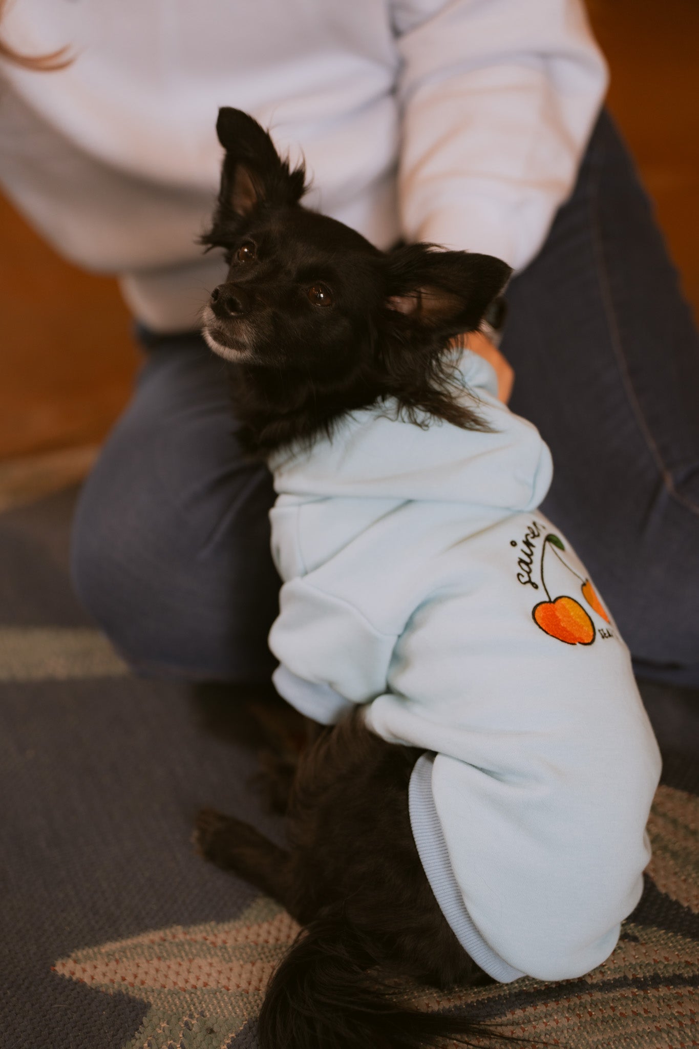Rainier Cherry Dog Hoodie - Blue