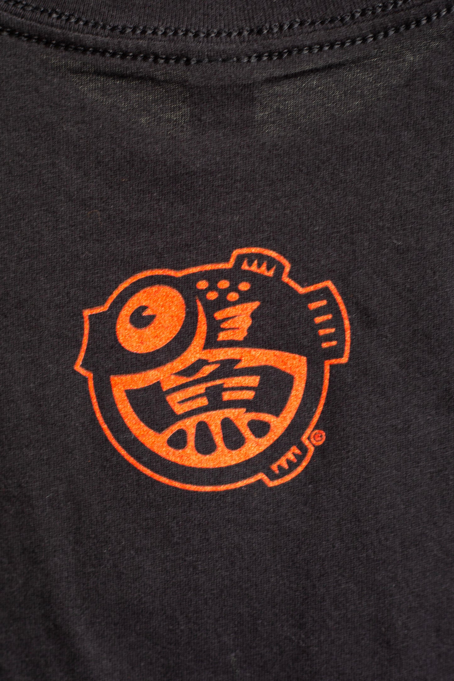 Shoyu T-Rex Shirt - Kids