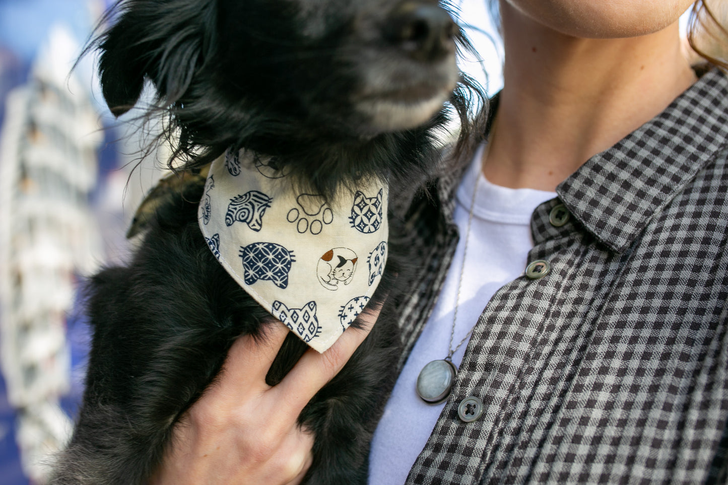 White Cat Bandana