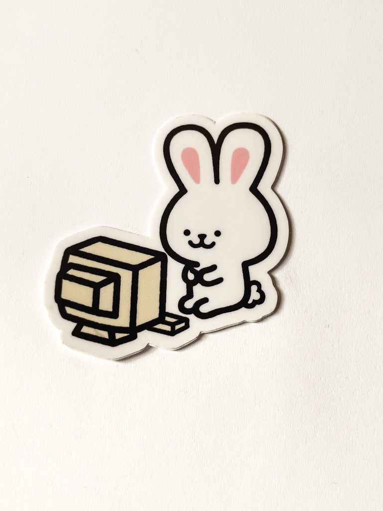 Computer Sunny