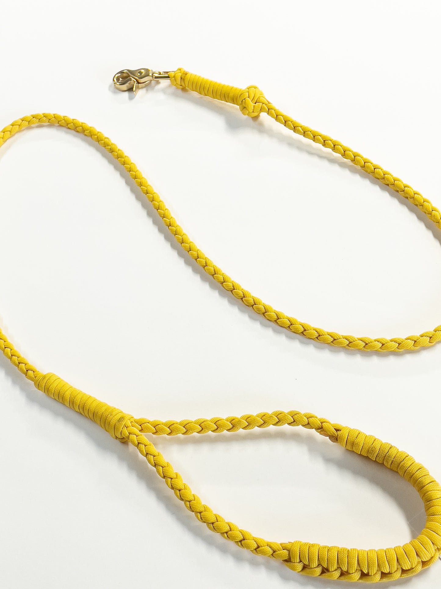 Adventure Dog Leash - Light