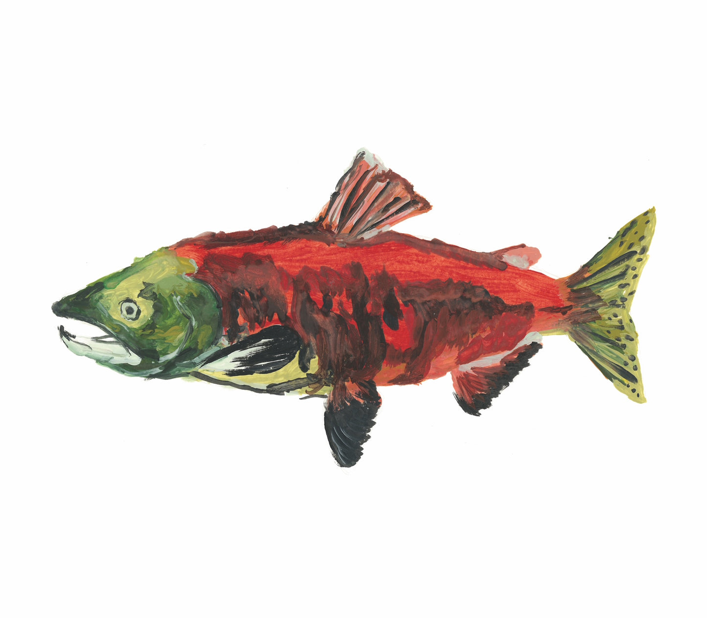 Sockeye Salmon Print