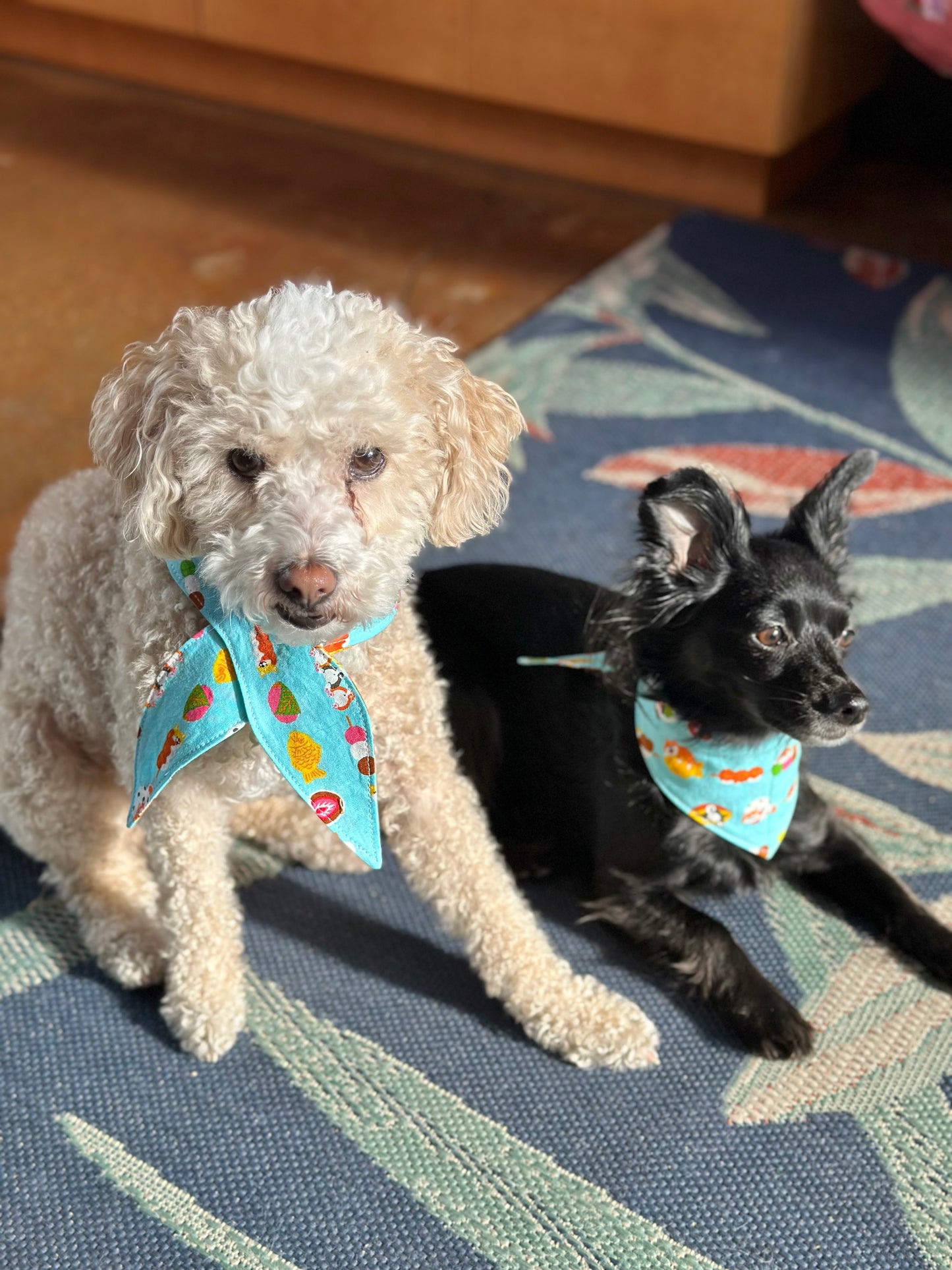 Teal Shiba Snacks Pet Bandana