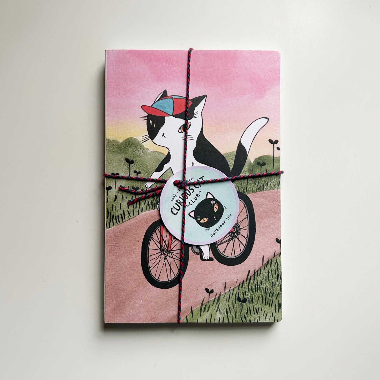 Curious Cat Club Notebook set of 2