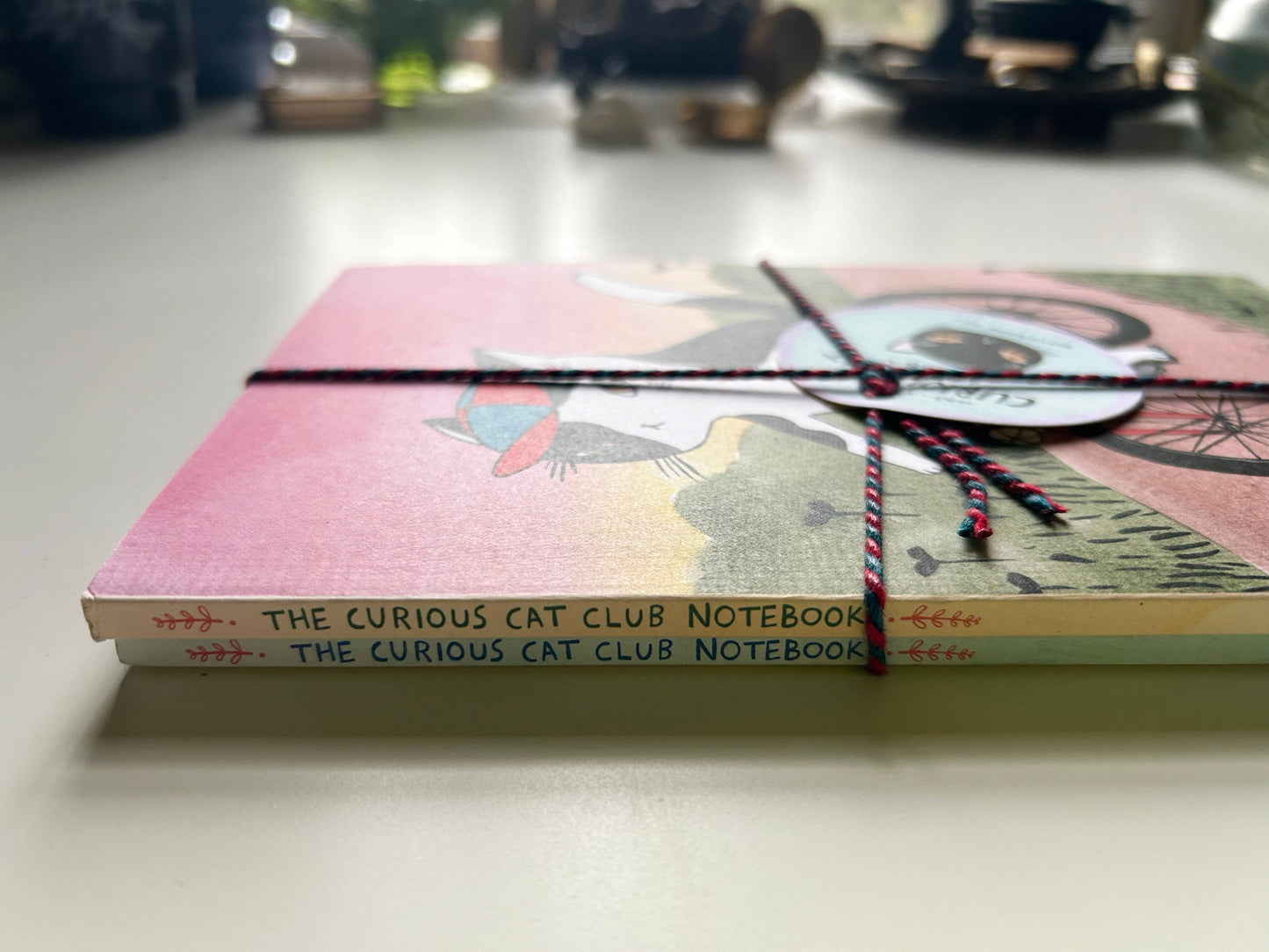 Curious Cat Club Notebook set of 2