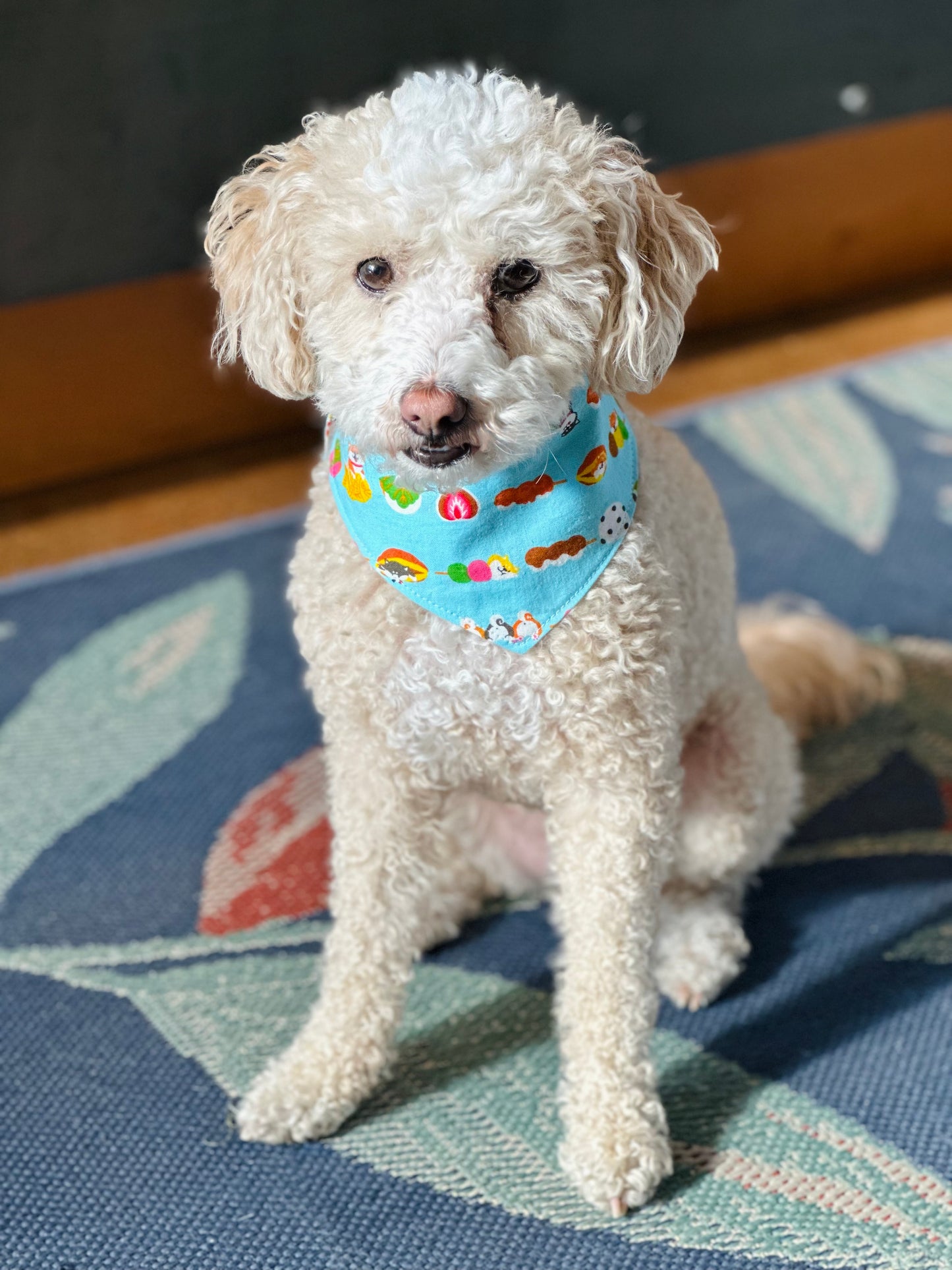 Teal Shiba Snacks Pet Bandana