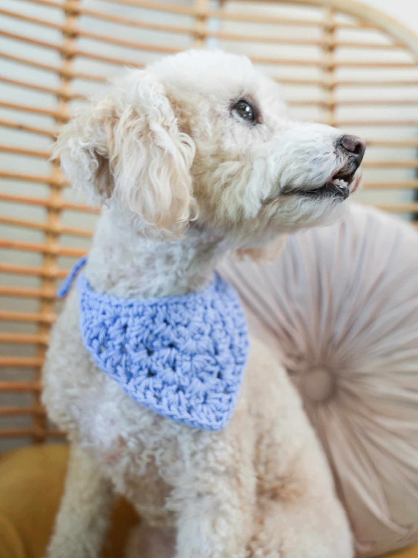 Crotchet Pet Bandana