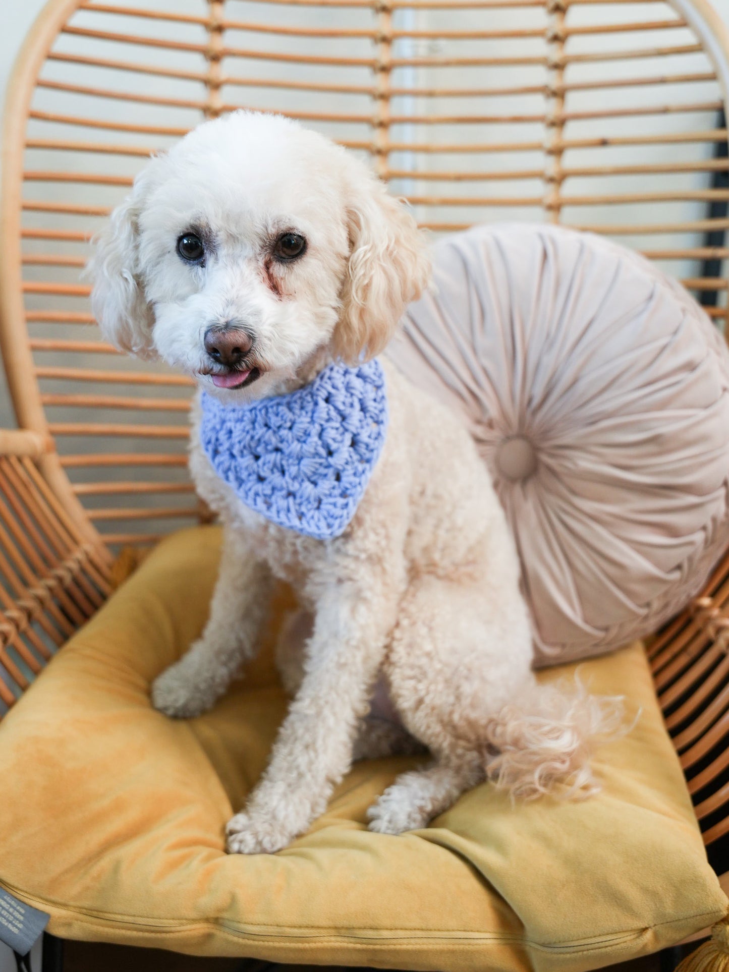 Crotchet Pet Bandana