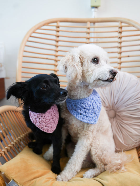 Crotchet Pet Bandana