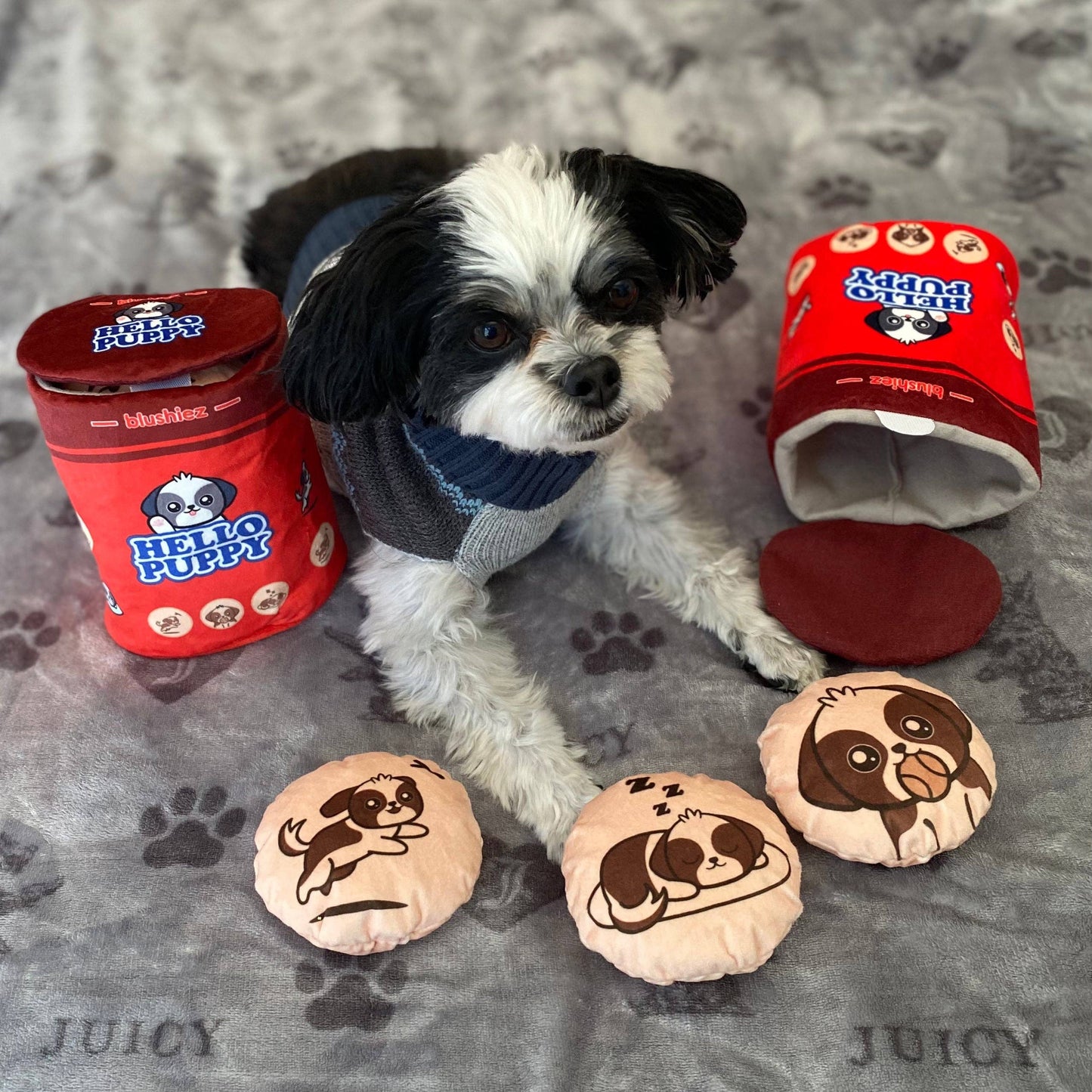 Hello Puppy 4 Piece Dog Toy