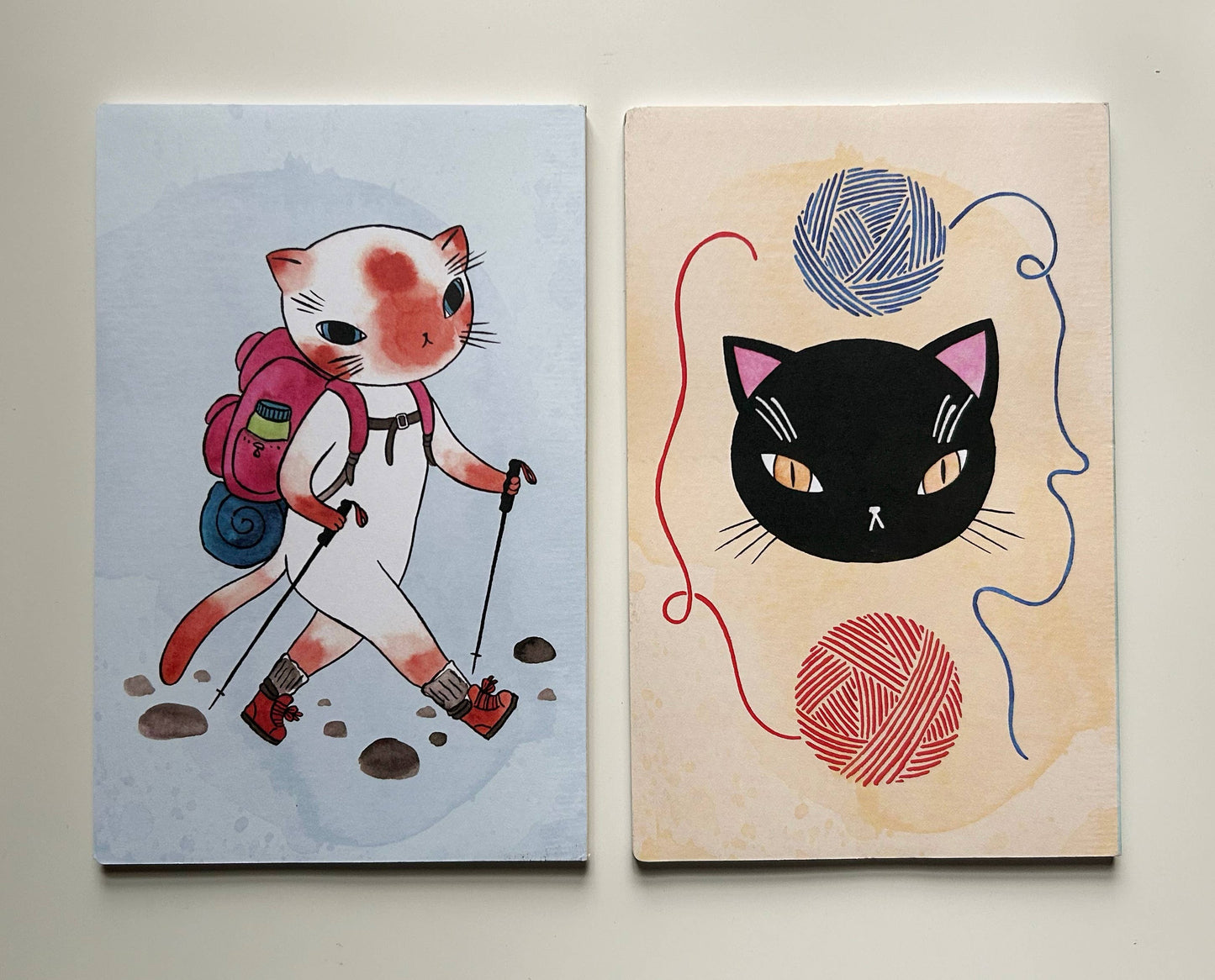 Curious Cat Club Notebook set of 2