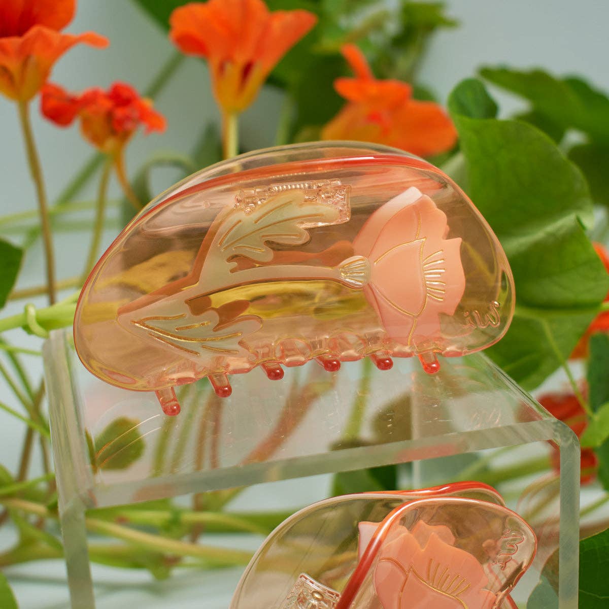 California Poppy Claw