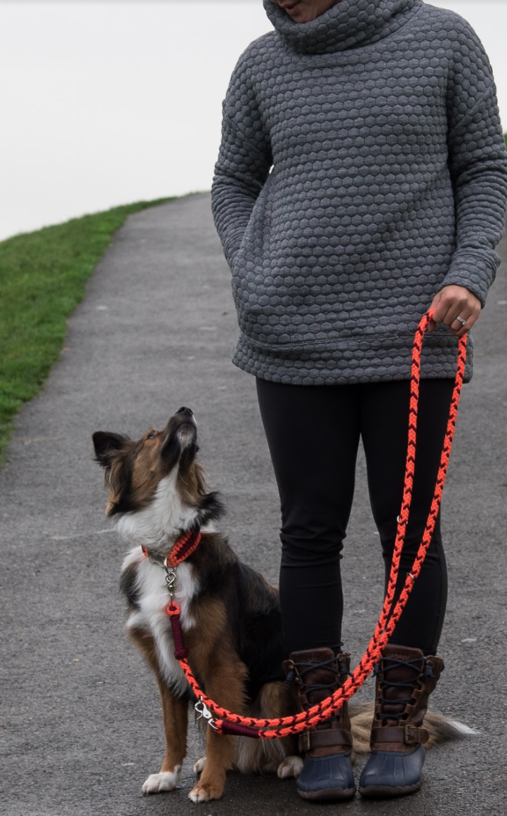 Adjustable Dog Leash