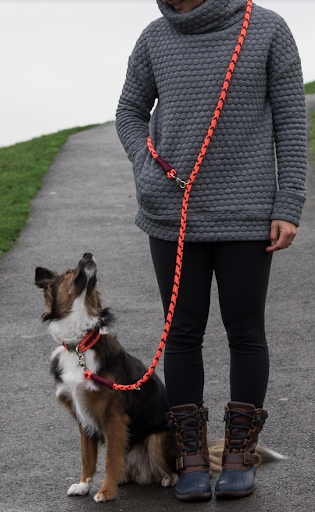 Adjustable Dog Leash